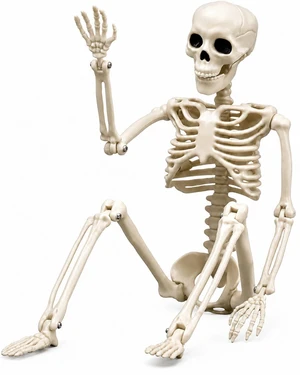 Halloween Skeleton Decorations, 16" Plastic Full Body Posable Skeleton, Small Hanging Skeleton for Halloween Decor, Graveyard Haunted House Props Halloween Skeleton Decorations, 16" Plastic Full Body Posable Skeleton, Small Hanging Skeleton for Halloween Decor, Graveyard Haunted House Props