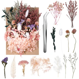 Real Dried Flowers, Natural Dry Flowers Mixed Natural Pressed Flowers Flores Secas Dried Florals for Crafts,Resin,Candle Making (Multicolor 2) Real Dried Flowers, Natural Dry Flowers Mixed Natural Pressed Flowers Flores Secas Dried Florals for Crafts,Resin,Candle Making (Multicolor 2)
