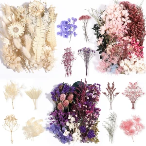 Real Dried Flowers 100% Natural Dried Flowers, Mixed Colors Dried Leaf Flowers for DIY Arts and Crafts Candles Resin Jewelry Nail Pendant Cards Scrapbooking Wedding Home Decoration Real Dried Flowers 100% Natural Dried Flowers, Mixed Colors Dried Leaf Flowers for DIY Arts and Crafts Candles Resin Jewelry Nail Pendant Cards Scrapbooking Wedding Home Decoration