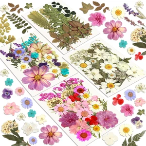 Dried Flowers, 100Pcs Pressed Flowers for Craft | Real Natural Dried Flowers Dry Leaves Kit for DIY Making Crafts Resin Soap Candle Scrapbook Supplies Card Making Jewelry Dried Flowers, 100Pcs Pressed Flowers for Craft | Real Natural Dried Flowers Dry Leaves Kit for DIY Making Crafts Resin Soap Candle Scrapbook Supplies Card Making Jewelry