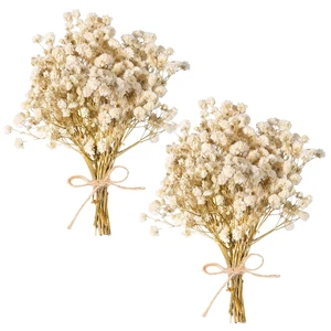 2000+ Pure White 6"-7.8" Portable Dried Baby's Breath Bouquet | Mini Gypsophila Flowers, Natural Dried Flowers for Wedding Home Decor DIY Crafts Vase Filler Wreath Card Making 2000+ Pure White 6"-7.8" Portable Dried Baby's Breath Bouquet | Mini Gypsophila Flowers, Natural Dried Flowers for Wedding Home Decor DIY Crafts Vase Filler Wreath Card Making
