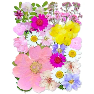 33Pcs Pink Pressed Dried Flowers for Resin, Real Natural Bulk Assorted Dry Floral Leaves for DIY Art Crafts, Epoxy Molds, Jewelry, Soap, Candle Making, Nails Decors 33Pcs Pink Pressed Dried Flowers for Resin, Real Natural Bulk Assorted Dry Floral Leaves for DIY Art Crafts, Epoxy Molds, Jewelry, Soap, Candle Making, Nails Decors