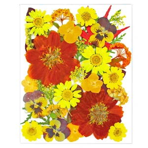 34 Pcs Yellow Dried Pressed Flowers for Resin, Real Natural Bulk Dry Wildflowers Leaves Perfect for Epoxy Molds, DIY Crafts, Nails Soap Candles Jewelry Making, and Home Decor 34 Pcs Yellow Dried Pressed Flowers for Resin, Real Natural Bulk Dry Wildflowers Leaves Perfect for Epoxy Molds, DIY Crafts, Nails Soap Candles Jewelry Making, and Home Decor