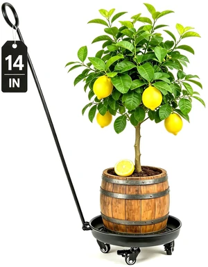 Goooxim 14in Heavy-Duty Plant Rollers with Wheels - Ideal for Outdoor Pots | Ergonomic Wheeled Plant Caddy for Indoor & Outdoor Use, Supports 200 lbs, Effortless Mobility for Home & Garden Care Goooxim 14in Heavy-Duty Plant Rollers with Wheels - Ideal for Outdoor Pots | Ergonomic Wheeled Plant Caddy for Indoor & Outdoor Use, Supports 200 lbs, Effortless Mobility for Home & Garden Care