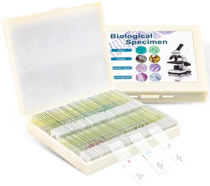 100 Prepared Microscope Slides with Specimens for Kids Adults - Bacterium, Fungus, Human Tissues, Mitosis, Plants, Insects, Animals Cells Samples for Biological Science Lab, School Students 100 Prepared Microscope Slides with Specimens for Kids Adults - Bacterium, Fungus, Human Tissues, Mitosis, Plants, Insects, Animals Cells Samples for Biological Science Lab, School Students
