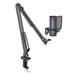 IXTECH Gaming Microphone for PC with Boom Arm, Podcast Condenser Mic with Pop Filter, Quick Mute Button, Gain Knob, Microphone Arm and Computer Mic with Gain Control for Streaming Podcasting Recording