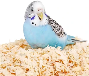 MANON ROSA Wood Shavings for Bird Bedding - Natural Aspen Soft Low-Dust & Odor-Control Nesting Material for Parakeets Parrots Rabbits Cockatiel for Cages, Nest Boxes, Small Pet Litter MANON ROSA Wood Shavings for Bird Bedding - Natural Aspen Soft Low-Dust & Odor-Control Nesting Material for Parakeets Parrots Rabbits Cockatiel for Cages, Nest Boxes, Small Pet Litter