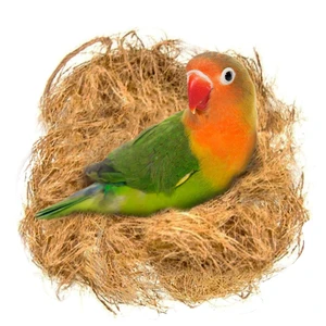 SunGrow Finch Coconut Fiber, Loose Bedding Substrate for Birds Nest Cages, Nesting Material for Budgie Hummingbird Canary Parakeet, 1.5 oz SunGrow Finch Coconut Fiber, Loose Bedding Substrate for Birds Nest Cages, Nesting Material for Budgie Hummingbird Canary Parakeet, 1.5 oz