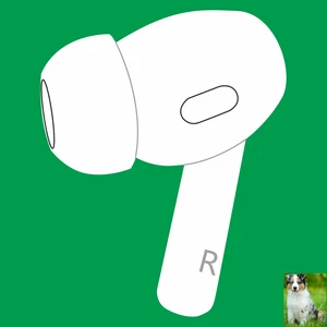 OEM Right Earbuds Replacement for Pods Pro (2nd Generation) A3047, A3048, A3049, Genuine Single Right Ear Side Only, Compatible with Original Air Pro 2 A2968 Charging Case OEM Right Earbuds Replacement for Pods Pro (2nd Generation) A3047, A3048, A3049, Genuine Single Right Ear Side Only, Compatible with Original Air Pro 2 A2968 Charging Case
