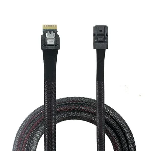 Server Connection Cable SFF8654 To SFF8643 Adapter Cable 4i To Minisas Cable Server Connection Cable SFF8654 To SFF8643 Adapter Cable 4i To Minisas Cable