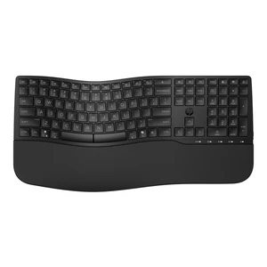 Comfort Dual-Mode Keyboard, Microsoft Copilot, Adjustable, HP Unifying Dongle, 2.4G Bluetooth, Black, 8T6L8AA Comfort Dual-Mode Keyboard, Microsoft Copilot, Adjustable, HP Unifying Dongle, 2.4G Bluetooth, Black, 8T6L8AA