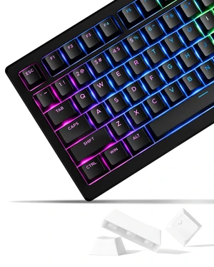 Doubleshot PBT Keycaps 60 75 100 Percent - Shine Through Keycaps, for Mechanical Keyboards, Full 137 Key Set, OEM Profile, Backlit - Black Doubleshot PBT Keycaps 60 75 100 Percent - Shine Through Keycaps, for Mechanical Keyboards, Full 137 Key Set, OEM Profile, Backlit - Black