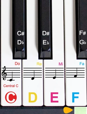1 Pack Piano Keyboard Stickers for 88/76/61/54/49 Keys, Colorful and Removable Piano Stickers for Beginners, Keyboard Letters Labels, Eye-catching Notes 1 Pack Piano Keyboard Stickers for 88/76/61/54/49 Keys, Colorful and Removable Piano Stickers for Beginners, Keyboard Letters Labels, Eye-catching Notes