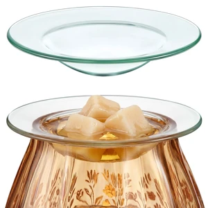 Patelai 4.5-Inch Round Glass Plate Replacement Wax Warmer Dish, 1 Piece Patelai 4.5-Inch Round Glass Plate Replacement Wax Warmer Dish, 1 Piece