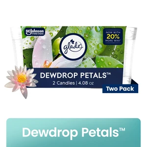 Glade Single Wick Candle Dewdrop Petals 4.08 oz 2 Count Glade Single Wick Candle Dewdrop Petals 4.08 oz 2 Count