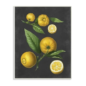 Stupell Industries Botanical Drawing Lemons on Black Design Wall Plaque by Lettered and Lined Stupell Industries Botanical Drawing Lemons on Black Design Wall Plaque by Lettered and Lined