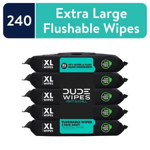 DUDE Extra Large Mint Chill Flushable Wet Wipes, 48 Count (5 Pack, 240 Total) DUDE Extra Large Mint Chill Flushable Wet Wipes, 48 Count (5 Pack, 240 Total)