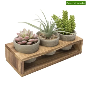 K-Cliffs 3-Piece Mini Gray Cement Pots with Wood Stand, 3.1Dia x 2.5H Inches Each Pot, Stand 10.4L x 1.6W x 2.4H Inches, 3lbs, for Succulents, Herbs K-Cliffs 3-Piece Mini Gray Cement Pots with Wood Stand, 3.1Dia x 2.5H Inches Each Pot, Stand 10.4L x 1.6W x 2.4H Inches, 3lbs, for Succulents, Herbs