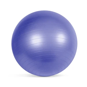 CAP Fitness Anti-Burst Stability & Pregnancy Ball, 65cm, Purple CAP Fitness Anti-Burst Stability & Pregnancy Ball, 65cm, Purple