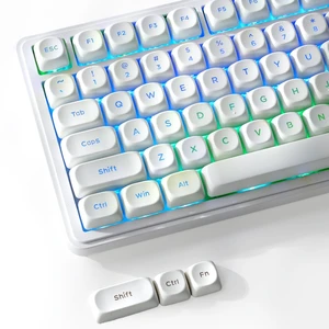 Shine Through Keycaps,White MOA Profile PBT Keycaps 117-Key for MX Switches | Premium Doubleshot Keycaps,1.5mm Thick Walls Fit Most Mechanical Keyboards-Minimalist Style Shine Through Keycaps,White MOA Profile PBT Keycaps 117-Key for MX Switches | Premium Doubleshot Keycaps,1.5mm Thick Walls Fit Most Mechanical Keyboards-Minimalist Style
