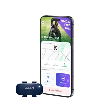 Real-Time GPS Pet Tracker for Dogs & Cats, Unlimited Range, Safe Zones, Escape Alerts, Location History, Activity & Wellness Insights. Active Subscription Required. Real-Time GPS Pet Tracker for Dogs & Cats, Unlimited Range, Safe Zones, Escape Alerts, Location History, Activity & Wellness Insights. Active Subscription Required.