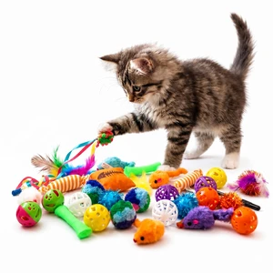 30 Interactive Cat Toys for Indoor Cats & Kittens Crinkle Balls, Sparkle Pom Pom Balls, Spiral Springs, Cat Mice, Teaser Wand, Kitten Toys, Cat Accessories - Variety Pack 30 Interactive Cat Toys for Indoor Cats & Kittens Crinkle Balls, Sparkle Pom Pom Balls, Spiral Springs, Cat Mice, Teaser Wand, Kitten Toys, Cat Accessories - Variety Pack