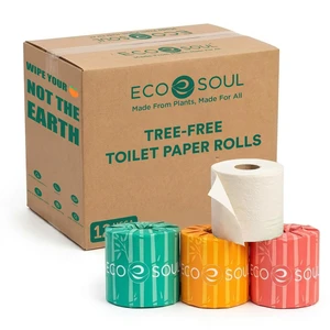 3 Ply Bamboo Toilet Paper, 12 Mega Rolls, 300 Sheets Each | 3 Ply, FSC Certified Bamboo, Soft, Hypoallergenic, Septic-Safe, Chemical & Dye Free, Eco-Friendly, 300 Sheets/Roll 3 Ply Bamboo Toilet Paper, 12 Mega Rolls, 300 Sheets Each | 3 Ply, FSC Certified Bamboo, Soft, Hypoallergenic, Septic-Safe, Chemical & Dye Free, Eco-Friendly, 300 Sheets/Roll