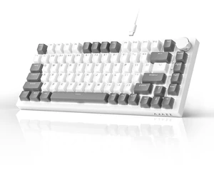 AK820 75% Mechanical Gaming Keyboard, Wired Gasket Mount Hot-Swappable Keyboard with Volume Knob, 5-Layer Sound Dampening, PBT Keycaps, 82 Keys, Gray White AK820 75% Mechanical Gaming Keyboard, Wired Gasket Mount Hot-Swappable Keyboard with Volume Knob, 5-Layer Sound Dampening, PBT Keycaps, 82 Keys, Gray White