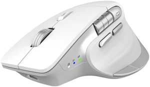 CITLLA Wireless Bluetooth Mouse, Ergonomic Rechargeable Silent Mouse with Multi-Device, Adjustable DPI, Flying Scroll & Thumb Wheel, Bluetooth Mice for Laptop, Computer, Tablet, Smartphone (White) CITLLA Wireless Bluetooth Mouse, Ergonomic Rechargeable Silent Mouse with Multi-Device, Adjustable DPI, Flying Scroll & Thumb Wheel, Bluetooth Mice for Laptop, Computer, Tablet, Smartphone (White)