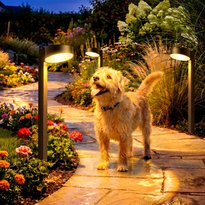VOLISUN Solar Pathway Lights Outdoor, 12 Pack 3CCT(3000K/4500K/6000K) Bright Solar Walkway Lights, Auto On/Off, Landscape Path Lights with Optical Len & IP65 Waterproof for Yard Patio Walkway Driveway VOLISUN Solar Pathway Lights Outdoor, 12 Pack 3CCT(3000K/4500K/6000K) Bright Solar Walkway Lights, Auto On/Off, Landscape Path Lights with Optical Len & IP65 Waterproof for Yard Patio Walkway Driveway