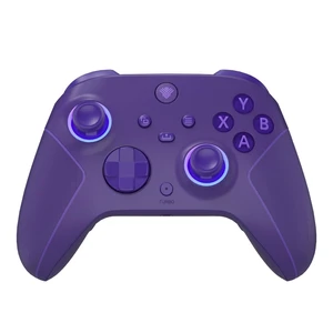 SZYUYU Wireless 2.4GHz Controller for Xbox One, Xbox Series X|S, Steam PC (Purple) SZYUYU Wireless 2.4GHz Controller for Xbox One, Xbox Series X|S, Steam PC (Purple)