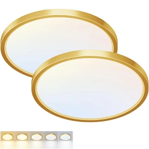 Fairdeer 2 Pack LED Flush Mount Ceiling Light,12Inch 24W,3000K/3500K/4000K/5000K/6500K 5 Color Temperatures Ceiling Light Fixture for Kitchen Porch Hallway Bedroom Bathroom and Closet,Gold Fairdeer 2 Pack LED Flush Mount Ceiling Light,12Inch 24W,3000K/3500K/4000K/5000K/6500K 5 Color Temperatures Ceiling Light Fixture for Kitchen Porch Hallway Bedroom Bathroom and Closet,Gold