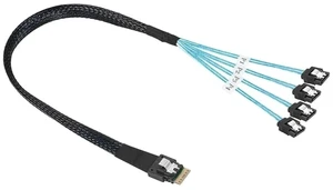 Internal S/AS SFF-8087,SFF8643,SlimSAS SFF8654 Host to Target 4 SATA 3.0 Hard Disk Motherboard Server Data Fanout Cord(0.5m,SFF-8654 to 4xSATA) Internal S/AS SFF-8087,SFF8643,SlimSAS SFF8654 Host to Target 4 SATA 3.0 Hard Disk Motherboard Server Data Fanout Cord(0.5m,SFF-8654 to 4xSATA)