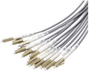 12 Cores LC Outdoor Patchcord 1m-40m Armored 20m Multimode 10m 12C SC FC ST OM1 OM2 Gray Waterproof Jumper Optical 12 Fiber 50um(30m 1pc OM2,ST-FC) 12 Cores LC Outdoor Patchcord 1m-40m Armored 20m Multimode 10m 12C SC FC ST OM1 OM2 Gray Waterproof Jumper Optical 12 Fiber 50um(30m 1pc OM2,ST-FC)