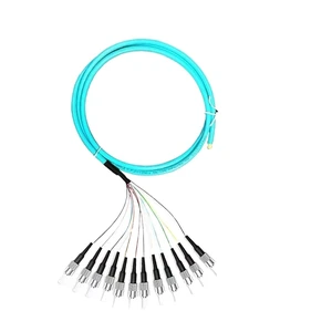 Optical Fiber Pigtails 12 Colored SC OM3 / OM4 10 Gigabit multimode FC LC ST Bundle Pigtail(ST OM3) Optical Fiber Pigtails 12 Colored SC OM3 / OM4 10 Gigabit multimode FC LC ST Bundle Pigtail(ST OM3)