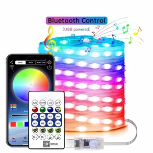 String LED Bluetooth Fairy Lights Dreamcolor RGBIC DIY Party Christmas Tree Lights Wedding Decor Garland USB Lamp 15M/10M/5M/2M String LED Bluetooth Fairy Lights Dreamcolor RGBIC DIY Party Christmas Tree Lights Wedding Decor Garland USB Lamp 15M/10M/5M/2M