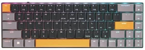 Cherry MX-LP 2.1 Compact Wireless Gaming Keyboard. RGB MX Silver Speed Switches. RGB Lighting Low-Profile MX Precision switches. 65% Size. 68 Keys. (Black & Orange) Cherry MX-LP 2.1 Compact Wireless Gaming Keyboard. RGB MX Silver Speed Switches. RGB Lighting Low-Profile MX Precision switches. 65% Size. 68 Keys. (Black & Orange)