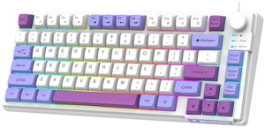 Wired Gaming Keyboard with Colorful Light 81 Keys Volume Knob Adjustable Bracket Multimedia Function Ergonomic Design for PC Computer Laptop Tablet Wired Gaming Keyboard with Colorful Light 81 Keys Volume Knob Adjustable Bracket Multimedia Function Ergonomic Design for PC Computer Laptop Tablet