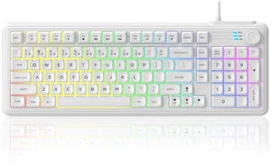 HUO JI Wired Membrane Gaming Keyboard with Volume Knob, RGB Backlit, White | 96% Layout Compact with Number Pad, Mechanical Feel, SpillResistant, Quiet Keys for PC Windows Mac Office Gaming HUO JI Wired Membrane Gaming Keyboard with Volume Knob, RGB Backlit, White | 96% Layout Compact with Number Pad, Mechanical Feel, SpillResistant, Quiet Keys for PC Windows Mac Office Gaming