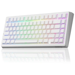 LEOBOG A80 RT Hall Effect Mechanical Gaming Keyboard Rapid Trigger Wired | 75% Magnetic Switch Hot Swap, 0.01mm RT Adjustable Actuation, 8000Hz Polling Rate, RGB Backlit, Compact Portable for PC Gamer LEOBOG A80 RT Hall Effect Mechanical Gaming Keyboard Rapid Trigger Wired | 75% Magnetic Switch Hot Swap, 0.01mm RT Adjustable Actuation, 8000Hz Polling Rate, RGB Backlit, Compact Portable for PC Gamer