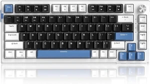 SKY81 75% Wireless Gasket Mechanical Gaming Keyboard, Hot Swappable RGB Custom Creamy Keyboard w/ 5-Layer Padding, BT/2.4G/USB-C, Knob Control, NKRO for Win/Mac (Dreamy Sky, Violet Switch) SKY81 75% Wireless Gasket Mechanical Gaming Keyboard, Hot Swappable RGB Custom Creamy Keyboard w/ 5-Layer Padding, BT/2.4G/USB-C, Knob Control, NKRO for Win/Mac (Dreamy Sky, Violet Switch)