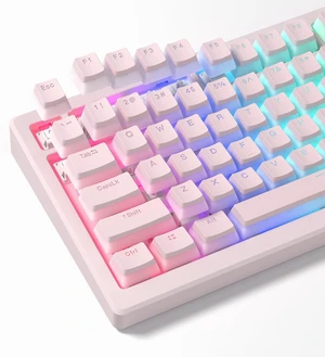 Shine Through PBT Keycaps, Pudding White Keyboard Keycaps | OEM Profile Custom Keycaps 75 Percent 129-key Set for 60% 65% 75% 100% Cherry Gateron MX Mechanical Keyboard-White Pink Shine Through PBT Keycaps, Pudding White Keyboard Keycaps | OEM Profile Custom Keycaps 75 Percent 129-key Set for 60% 65% 75% 100% Cherry Gateron MX Mechanical Keyboard-White Pink