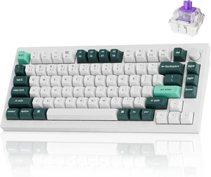 Keychron Q1 HE Wireless Custom Magnetic Keyboard, QMK Launcher Rapid Trigger 2.4 GHz & Bluetooth 5.2 with Gateron Double-Rail Magnetic Switch for Mac Windows Linux-White Keychron Q1 HE Wireless Custom Magnetic Keyboard, QMK Launcher Rapid Trigger 2.4 GHz & Bluetooth 5.2 with Gateron Double-Rail Magnetic Switch for Mac Windows Linux-White