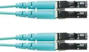 Panduit FX2ERLNLNSNM003 10 ft. Fiber optic patch cable