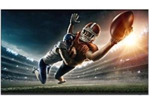 Sharp 4PB43EJ2U Digital Signage Display - 42.5" LCD - High Dynamic Range (HDR) - 16 Hours/ 7 Days Operation - 3840 x 2160 - 16:9 - Direct LED - 300 Nit - 2160p - Speakers - HDMI - USB - ...