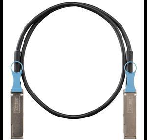 Panduit QSFP28 100G Direct Attach Copper, Black, 2 meters - 6.56 ft Twinaxial Network Cable for Network Device, Switch, Server, Computer - First End: 1 x QSFP28 Network - Second End: 1 x QSFP28 ...