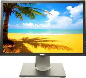 Dell P1911B 1440 x 900 Resolution 19" WideScreen LCD Flat Panel Computer Monitor Display