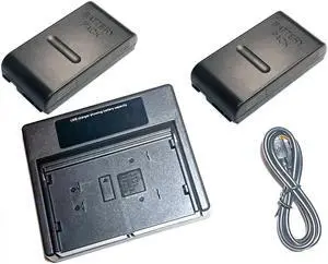 Combo Charger + 2 Battery for JVC BN-V11U BN-V12U Panasonic PV-BP15 DR10 DR11