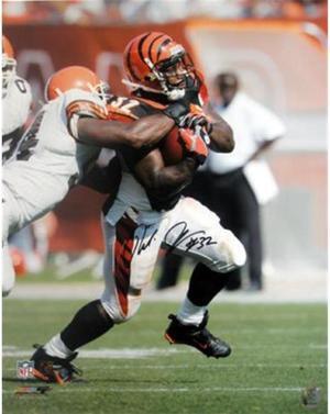 Rudi Johnson signed Cincinnati Bengals 16x20 Photo