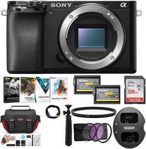 Sony Alpha a6100 APS-C Mirrorless Interchangeable-Lens Camera (Body Only) Bundle